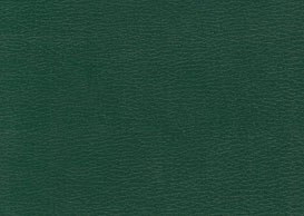 Farbmuster Kunstleder "dunkelgrün"
