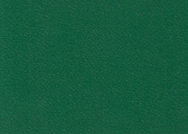 Farbmuster Kunstleder "hellgrün"